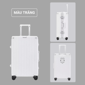 Vali Dream Traveller DT2019 (12)